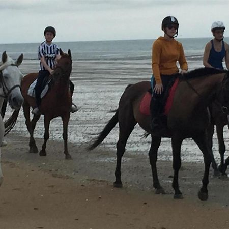 Decouverte D'Un Haras Proche Du Mont St Michel Hambye Bagian luar foto