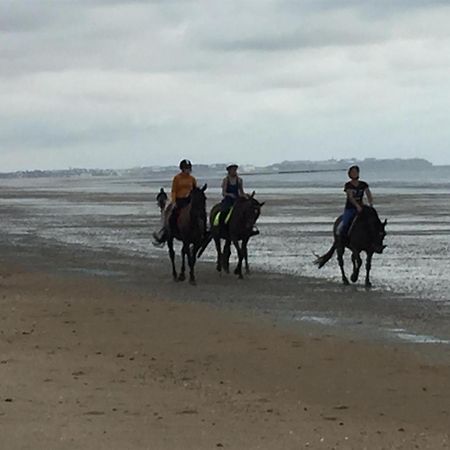 Decouverte D'Un Haras Proche Du Mont St Michel Hambye Bagian luar foto