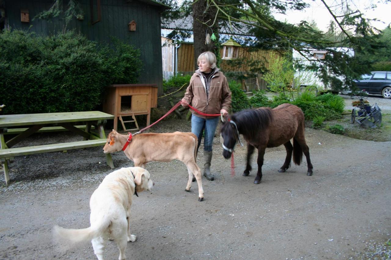 Decouverte D'Un Haras Proche Du Mont St Michel Hambye Bagian luar foto