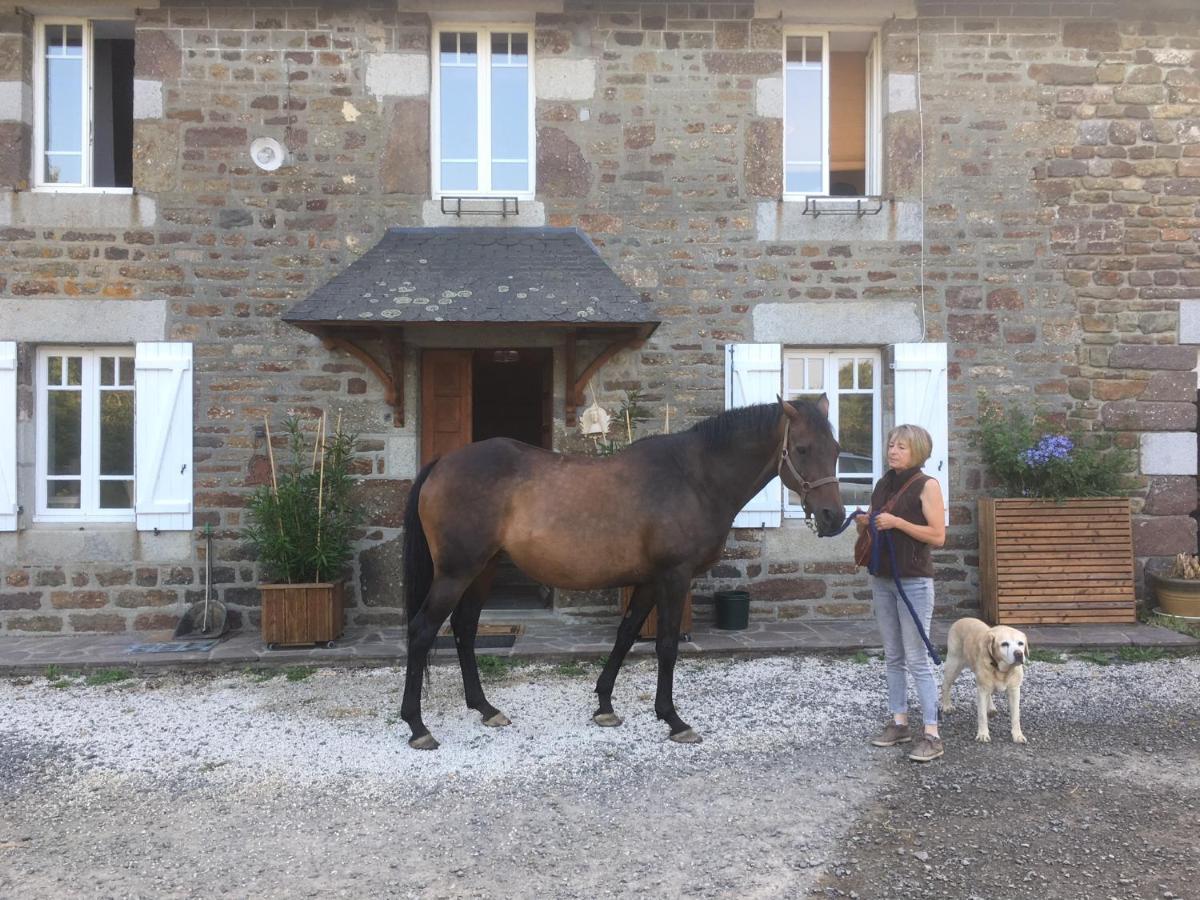 Decouverte D'Un Haras Proche Du Mont St Michel Hambye Bagian luar foto