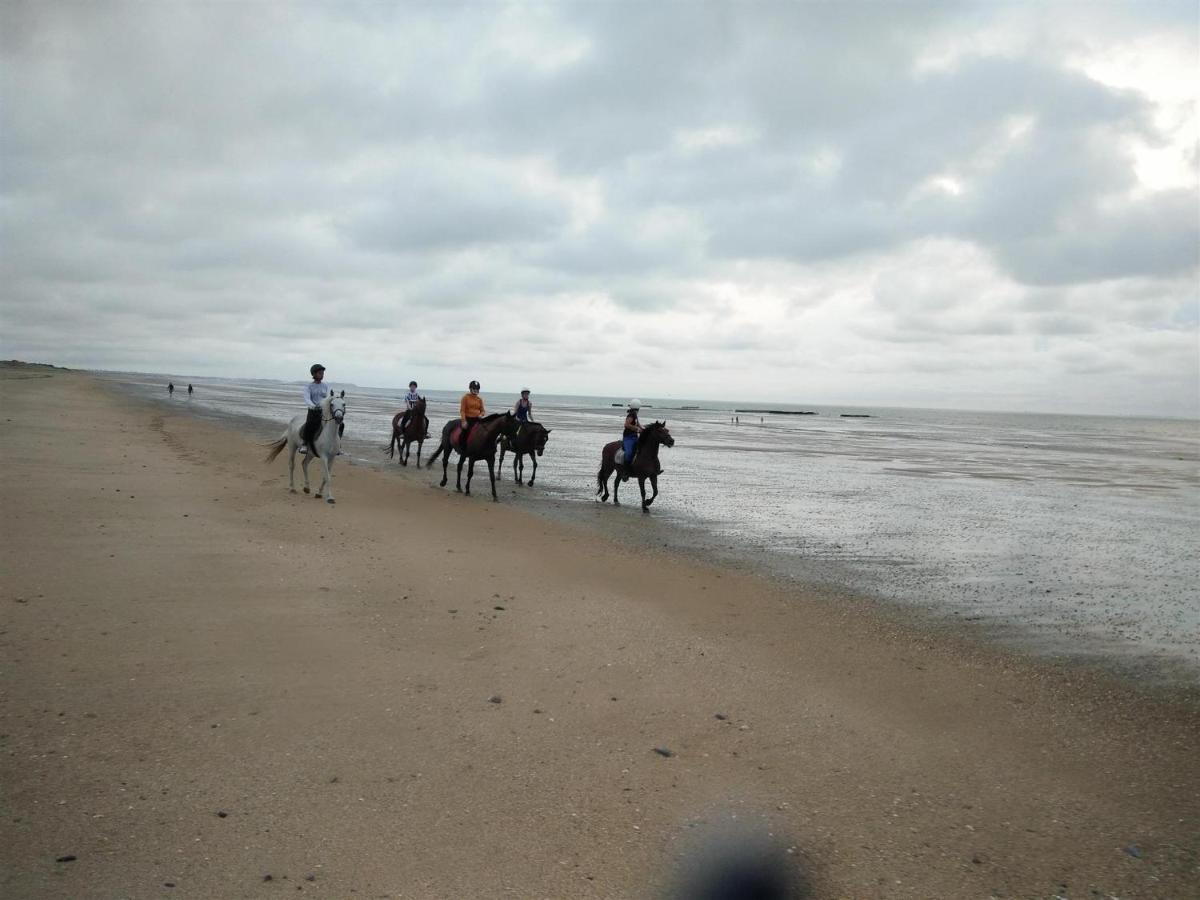 Decouverte D'Un Haras Proche Du Mont St Michel Hambye Bagian luar foto