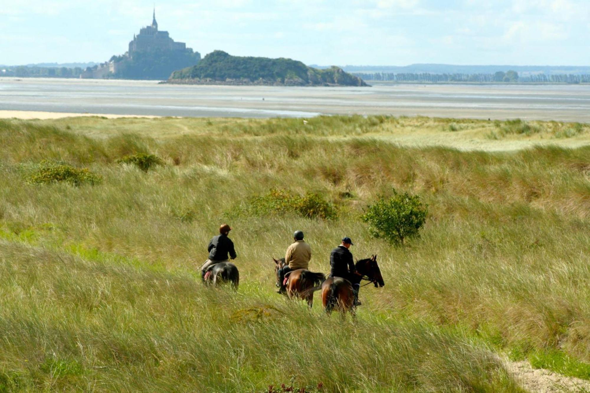 Decouverte D'Un Haras Proche Du Mont St Michel Hambye Bagian luar foto