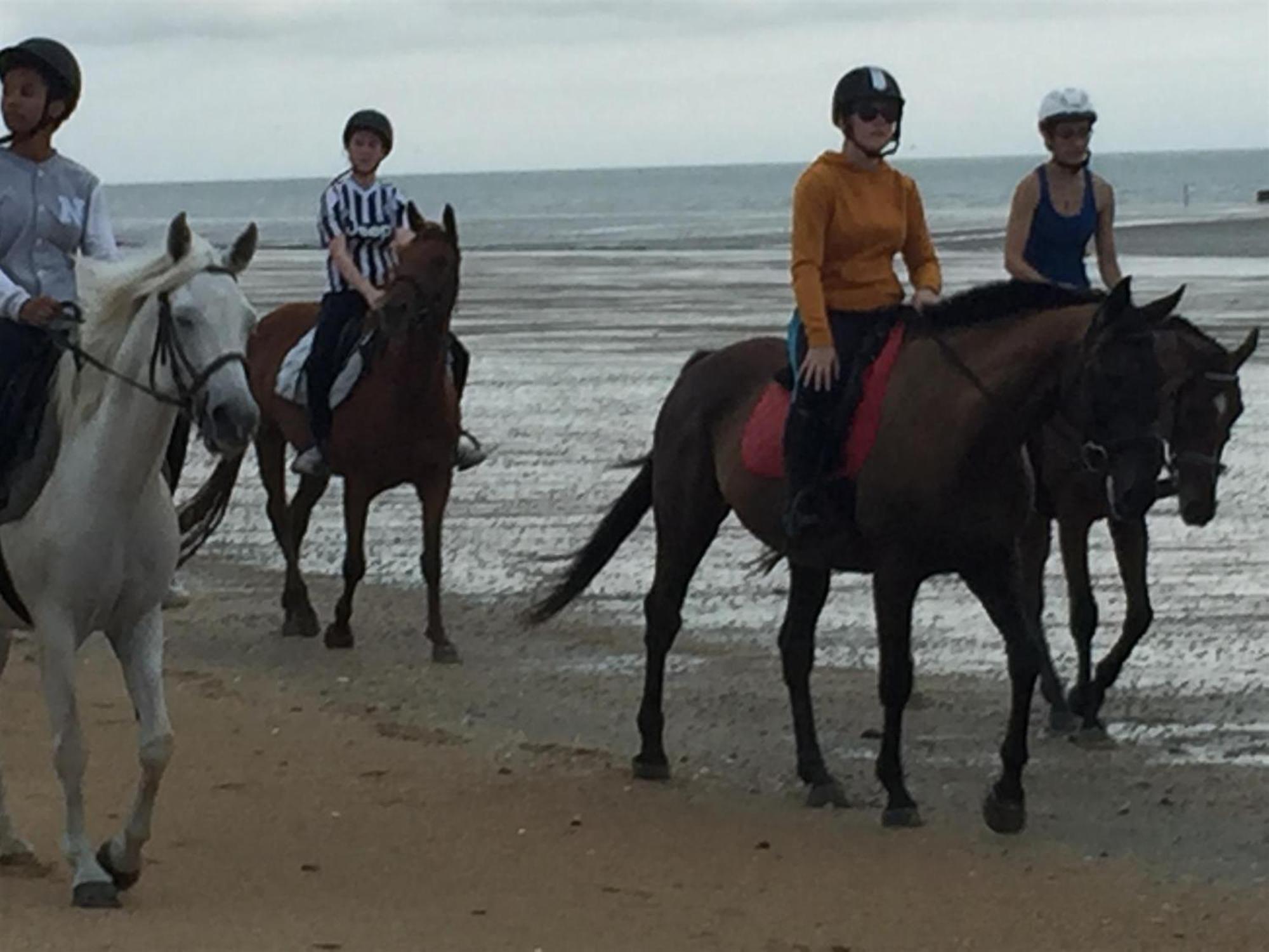 Decouverte D'Un Haras Proche Du Mont St Michel Hambye Bagian luar foto