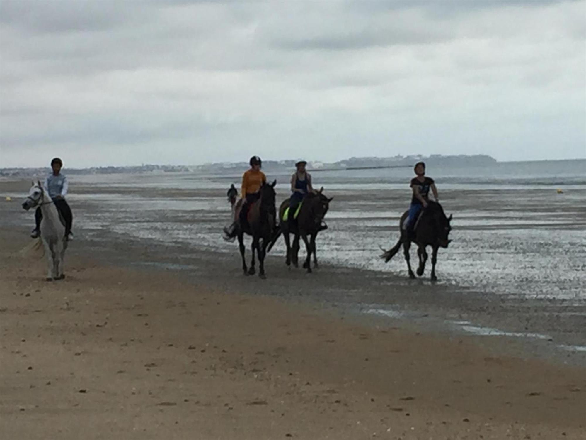 Decouverte D'Un Haras Proche Du Mont St Michel Hambye Bagian luar foto