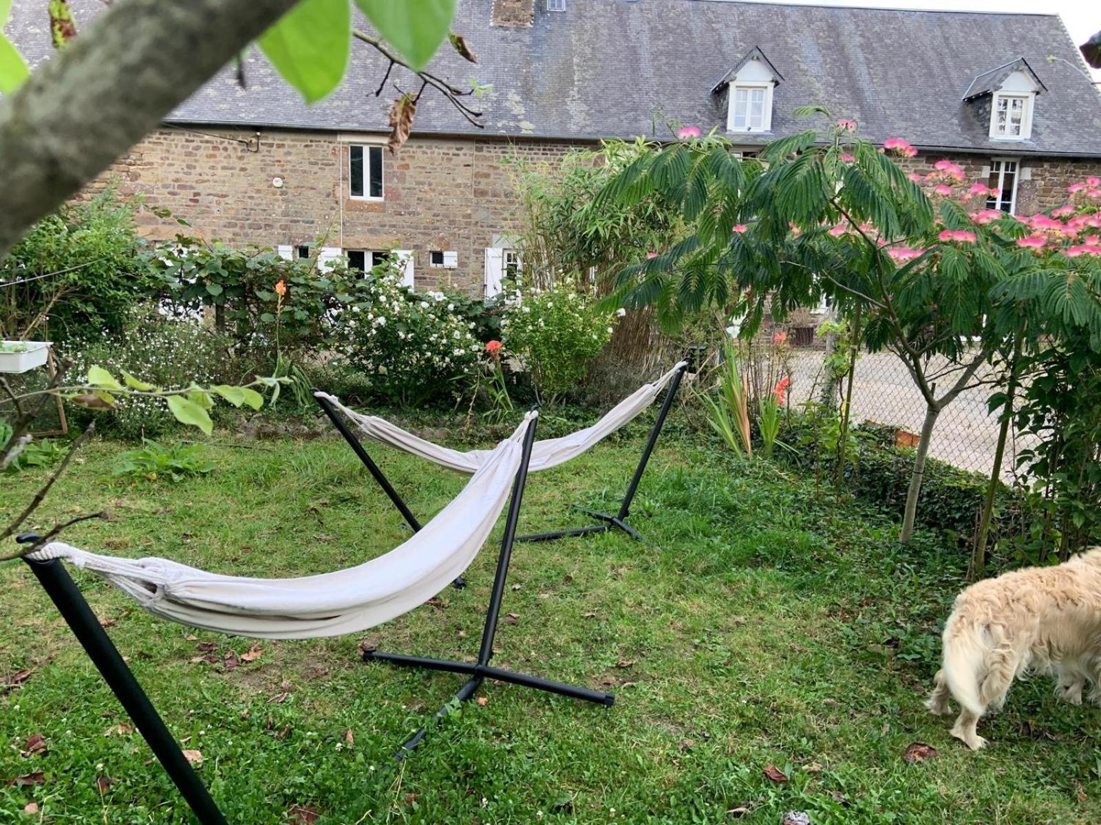 Decouverte D'Un Haras Proche Du Mont St Michel Hambye Bagian luar foto