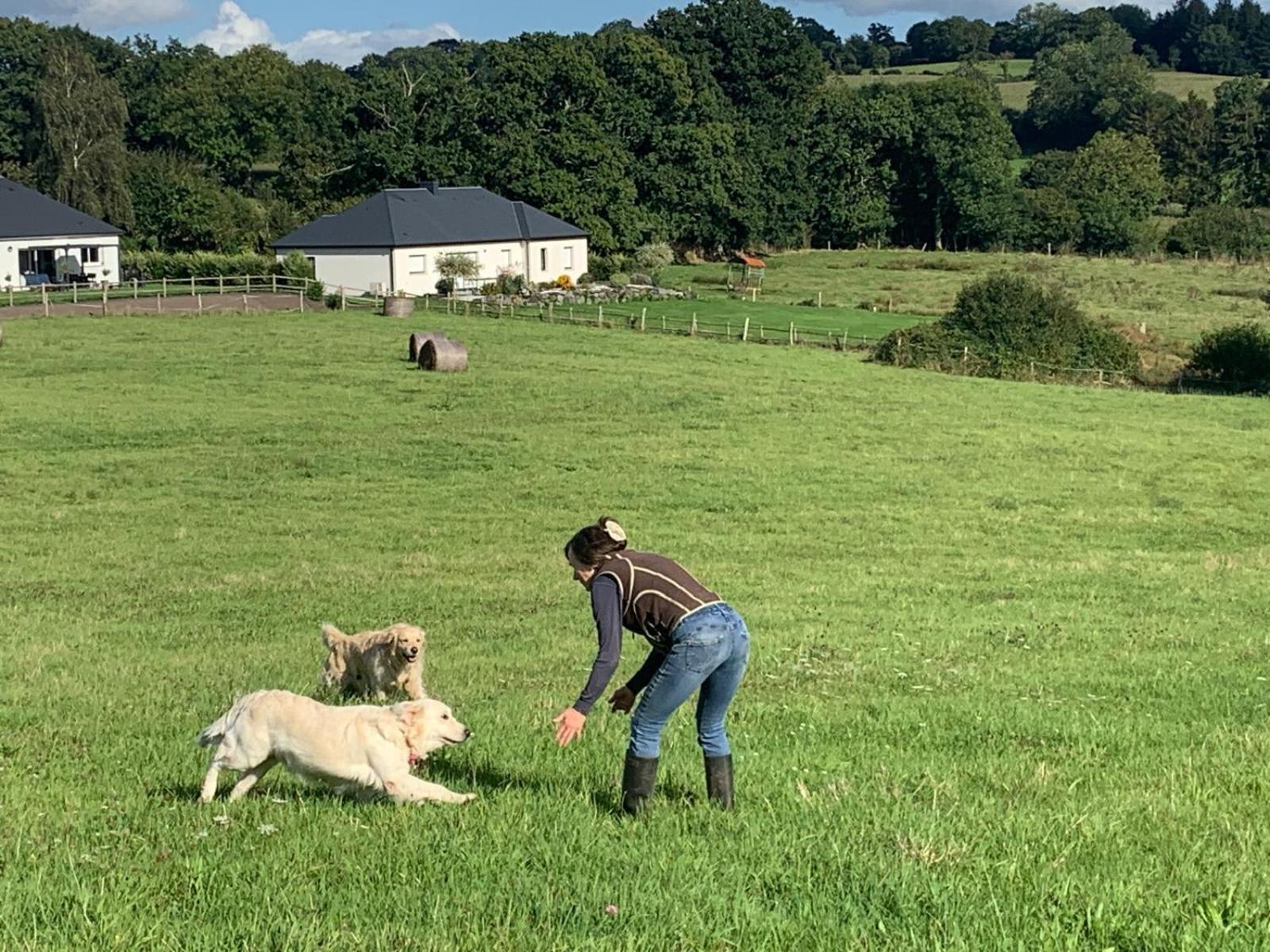 Decouverte D'Un Haras Proche Du Mont St Michel Hambye Bagian luar foto